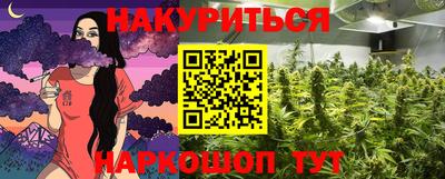 прущие крисы Моздок