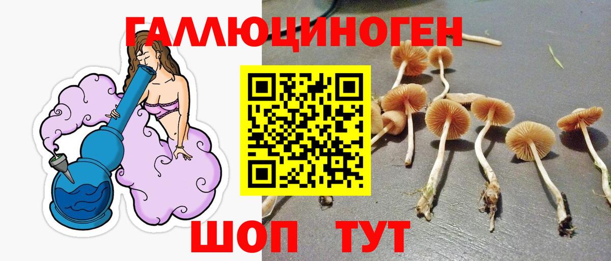Псилоцибиновые грибы Magic Shrooms Топки