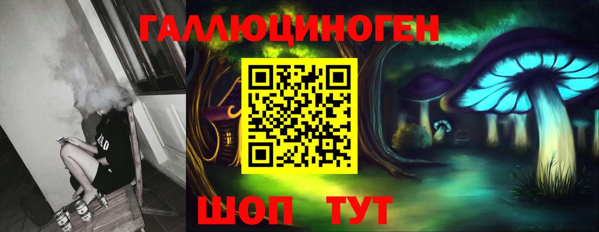 хочу   Псилоцибиновые грибы Cubensis  Вход с VPN  Топки 